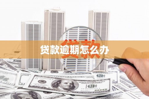 康保贷款逾期怎么办
