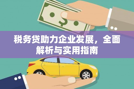 康保税务贷助力企业发展，全面解析与实用指南