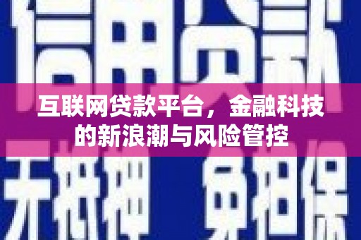 康保互联网贷款平台，金融科技的新浪潮与风险管控