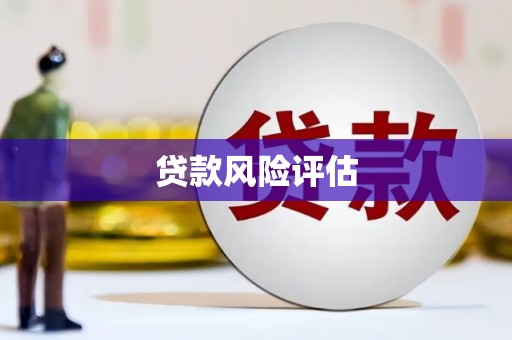 康保贷款风险评估