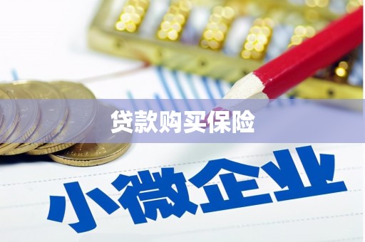 康保贷款购买保险
