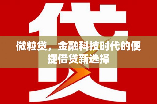 康保微粒贷，金融科技时代的便捷借贷新选择