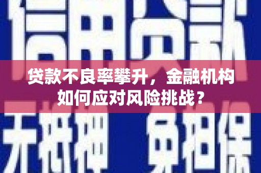 康保贷款不良率攀升，金融机构如何应对风险挑战？