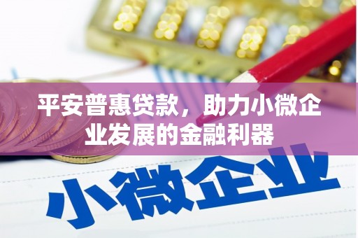 康保平安普惠贷款，助力小微企业发展的金融利器