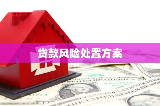 康保贷款风险处置方案