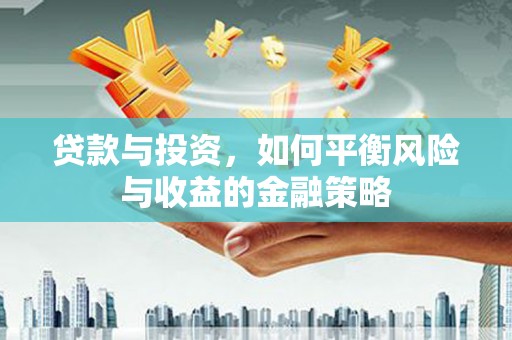 康保贷款与投资，如何平衡风险与收益的金融策略