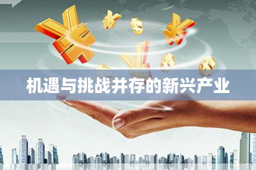 康保机遇与挑战并存的新兴产业