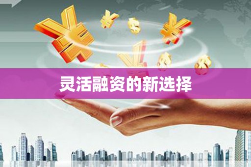 康保灵活融资的新选择