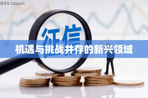康保机遇与挑战并存的新兴领域