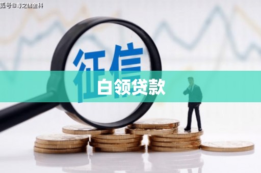 康保白领贷款