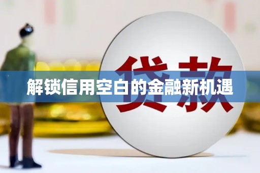 康保解锁信用空白的金融新机遇