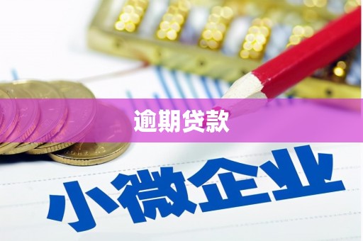 康保逾期贷款