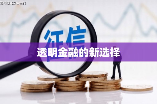 康保透明金融的新选择
