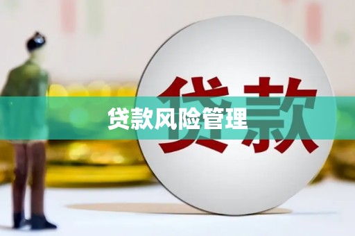 康保贷款风险管理