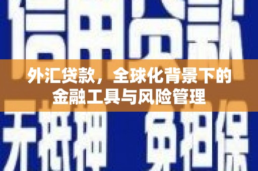 康保外汇贷款，全球化背景下的金融工具与风险管理