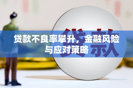康保贷款不良率攀升，金融风险与应对策略