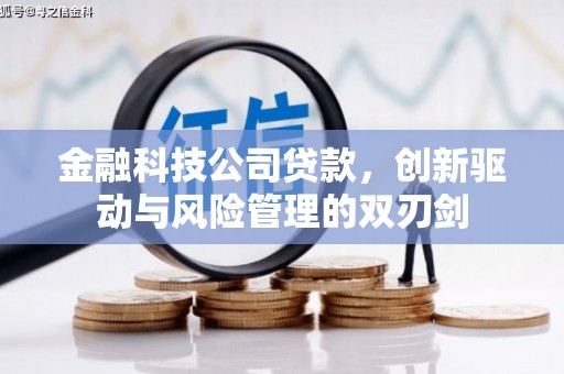 康保金融科技公司贷款，创新驱动与风险管理的双刃剑